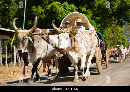 Ox carrelli guida lungo la strada in Guanacaste. Il bue sono tradizionali trasporti in Costa Rica e Guanacaste. Foto Stock