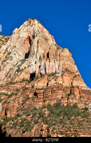 La luce del mattino sui picchi vicino a Sion Lodge, Parco Nazionale Zion, Utah Foto Stock