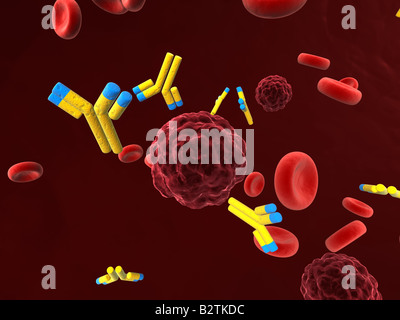 La cellula di cancro, le cellule del sangue e di anticorpi Foto Stock