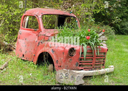 Vecchio Automobile convertito in un giardino di piante supporto display Gabriola Island BC Canada Foto Stock