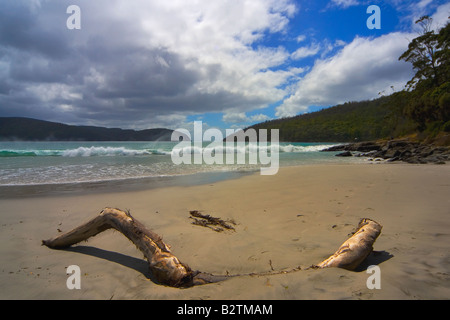 Fortescue Bay Penisola di Tasmania Tasmania Foto Stock