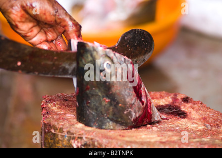 Panaji Mercato, Goa, India, subcontinente, Asia Foto Stock