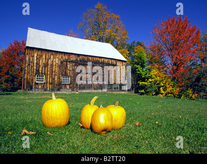 Un paese bellissimo fienile con zucche in ottobre del cambiamento di colore vicino alla città di Bennington Vermont nel verde delle montagne Foto Stock