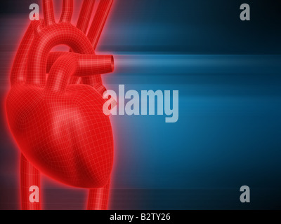 cuore umano Foto Stock