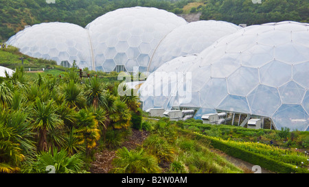 Esagonale cuscino ETFE biomi all'Eden Project in un vecchio china clay pit Bodelva St Austell Cornwall Inghilterra UK GB EU Europe Foto Stock