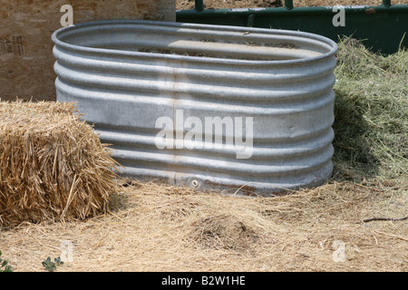 Trogolo di Acqua e fieno bail balla Foto Stock