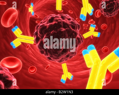 Gli anticorpi di attaccare una cellula di cancro Foto Stock