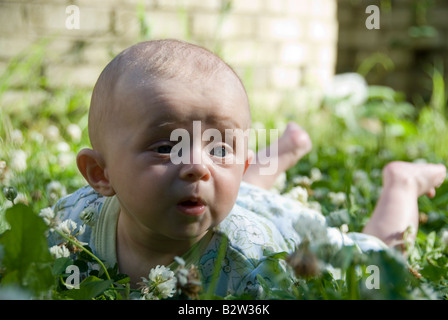 Baby Boy Joshua Kailas Hudson di età compresa tra i 15 settimane giacente in verde trifoglio con fiori di colore bianco Foto Stock