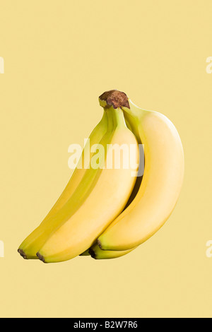 Grappolo di banane Foto Stock