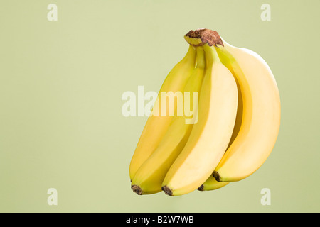 Grappolo di banane Foto Stock