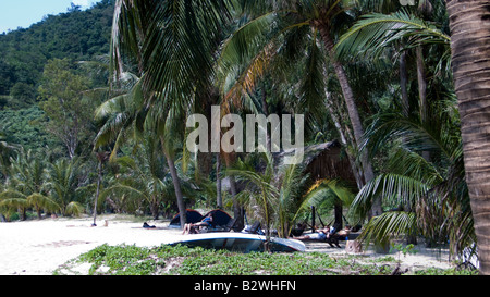 Palme la linea bianca sabbia Chong Beach Cham isola storica Hoi An Vietnam Foto Stock