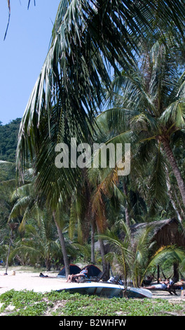 Palme la linea bianca sabbia Chong Beach Cham isola storica Hoi An Vietnam Foto Stock