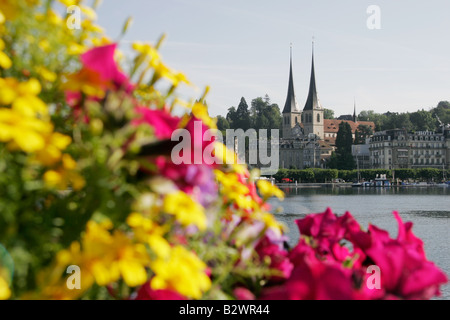 Cattedrale di Hof a Lucerna, Svizzera centrale Foto Stock