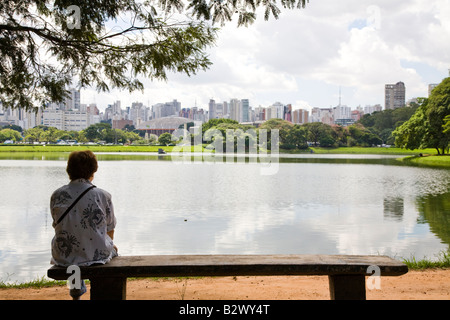 Parque Ibirapuera, Sao Paolo del Brasile Foto Stock