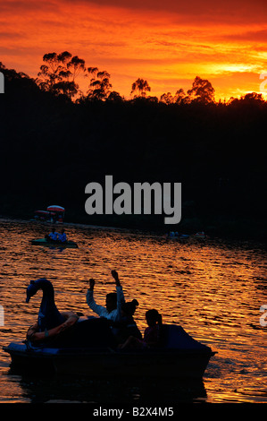 Barca a Ooty lago al tramonto Foto Stock