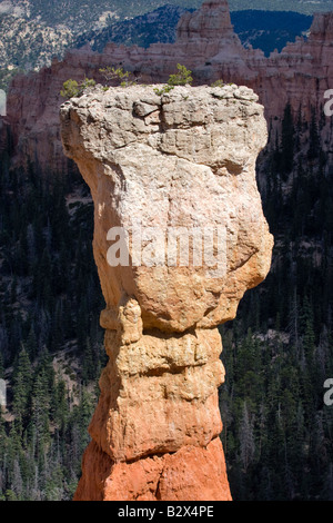 Agua Canyon Bryce Canyon National Park, Utah Foto Stock