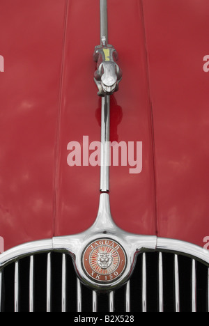 Una Jaguar XK 150 car badge, cofano mobili e grill. Foto Stock