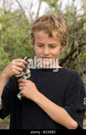 Ragazzo holding comune (Kingsnake Lampropeltis getulus) Arizona USA Foto Stock