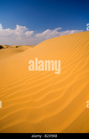 Sam dune di sabbia, grande deserto di Thar, Rajasthan, India, subcontinente, Asia Foto Stock