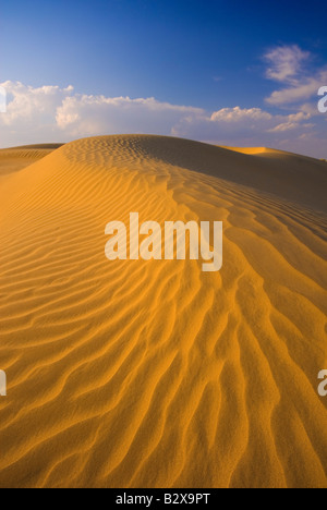 Sam dune di sabbia, grande deserto di Thar, Rajasthan, India, subcontinente, Asia