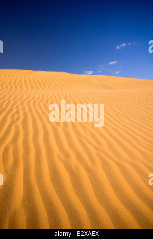 Sam dune di sabbia, grande deserto di Thar, Rajasthan, India, subcontinente, Asia Foto Stock