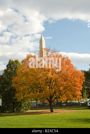 Washington DC USA il Washington Monument e caduta colore vicino alla Casa Bianca foto copyright Lee Foster Foto 2 washdc75443 Foto Stock