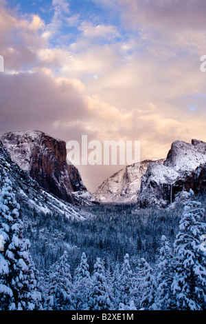 Una tempesta di clearing foglie fino a 16 cm di neve fresca sopra la valle di Yosemite Foto Stock