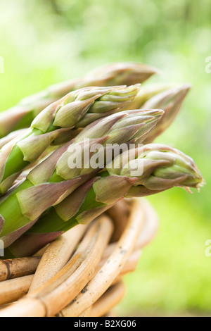 In prossimità delle punte di asparagi in basket Foto Stock