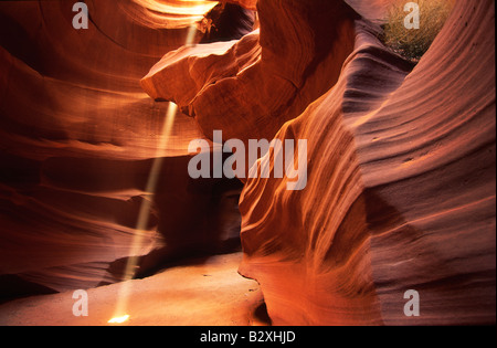 Raggio di luce proveniente dal basso verso l'alto del superiore stretto Antelope Canyon Foto Stock