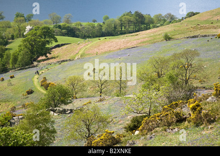 Vista da Rannerdale valle segreta delle Bluebells Scenic Crummock acqua Parco Nazionale del Distretto dei Laghi Foto Stock