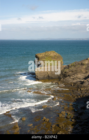 Guardando verso il mare oltre St Brides Bay verso St David s in testa Il Pembrokeshire Coast National Park Foto Stock