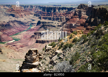 Vista del deserto del Grand Canyon- mattina 13 Foto Stock