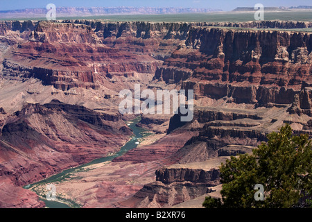 Vista del deserto del Grand Canyon- mattina 8 Foto Stock