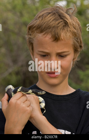 Ragazzo holding comune (Kingsnake Lampropeltis getulus) Arizona USA Foto Stock