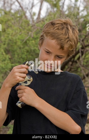 Ragazzo holding comune (Kingsnake Lampropeltis getulus) Arizona USA Foto Stock