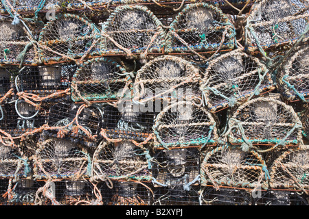 Aragosta bicchieri impilati sulla spiaggia Foto Stock