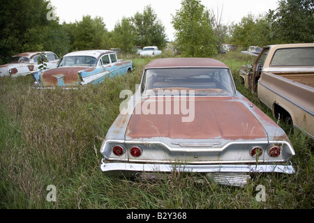 Nuova Chevrolet e anni sessanta vetture, mai prima di eseguire, marciume nel campo di fattoria vicino a Norfolk, Nebraska Foto Stock