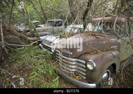 Nuova Chevrolet e anni sessanta vetture mai prima di eseguire il marciume nel campo di fattoria vicino a Norfolk, Nebraska Foto Stock