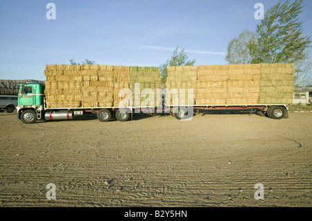 Parcheggiato il carrello caricato con ordinatamente impilate balle di fieno vicino Cuyama, California Foto Stock
