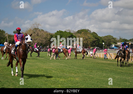 2006 Barbados horse racing, Sandy Lane Gold Cup in Garrison Savannah pista di Bridgetown, Barbados, West Indies Foto Stock