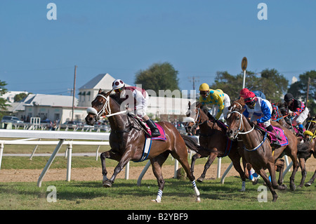 2006 Barbados horse racing, Sandy Lane Gold Cup in Garrison Savannah pista di Bridgetown, Barbados, West Indies Foto Stock