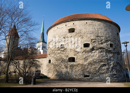 Fat Margaret Torre Canon (Paks Margareeta) all'estremità nord della città vecchia di Tallinn, Estonia. Foto Stock