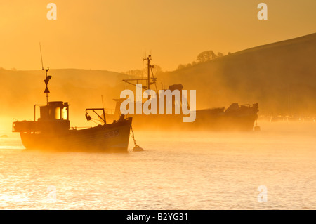 Due salcombe trawler proveniente dall'inizio mattina nebbia Foto Stock