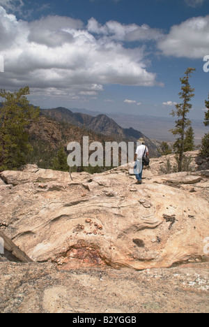 Escursionista solitario in montagna in Baja California, Messico San Pedro Martir De Parco Nazionale Foto Stock