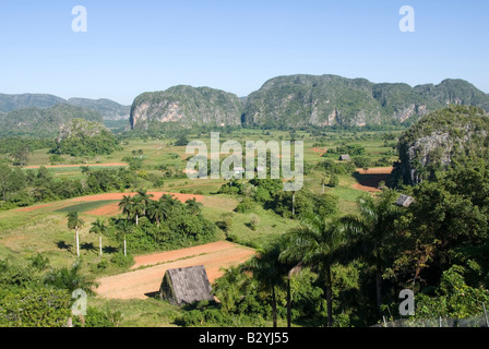 Vista sulla valle di Viñales verso ripidi mogotes calcare Cuba Foto Stock