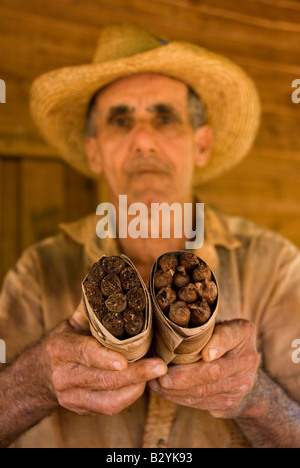 Focus sul fascio di arrotolate a mano i sigari cubani fatta in casa e per la vendita di tabacco locale agricoltore Vinales Cuba Foto Stock