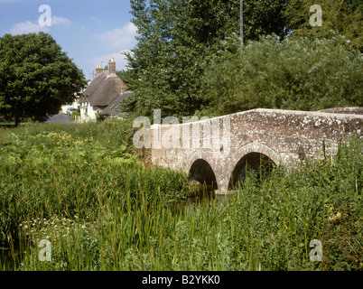 Regno Unito Inghilterra Dorset Bockhampton inferiore ponte sul fiume Frome Foto Stock