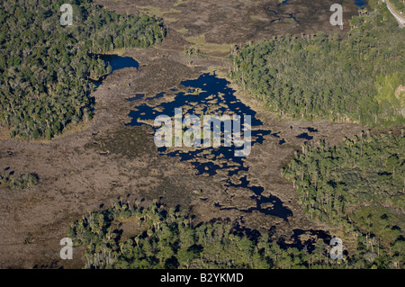 Fotografia aerea di Crystal River nel nordovest della Florida; una delle poche zone non sviluppate nello stato e un lamantino rifugio. Foto Stock