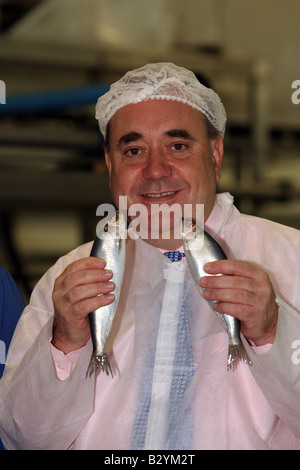 SNP leader scozzese e primo ministro Alex Salmond tenendo due pesci aringa in occasione di una visita a Peterhead, Scotland, Regno Unito Foto Stock