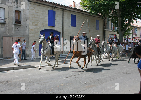 Fete de la Madeleine Beaucaire Gard Francia.Gli uomini cavalcare in città a caccia di vacche 85165 Beaucaire formato orizzontale Foto Stock